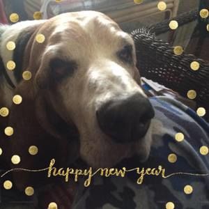 Meet your Posher, Diann